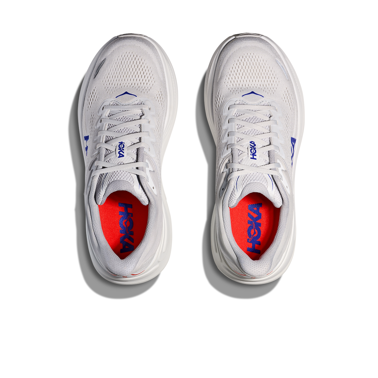 Bondi 9