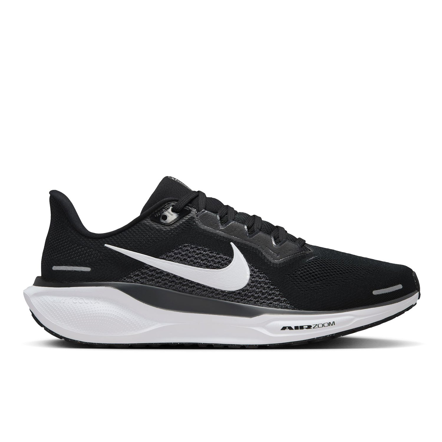 Pegasus 41
