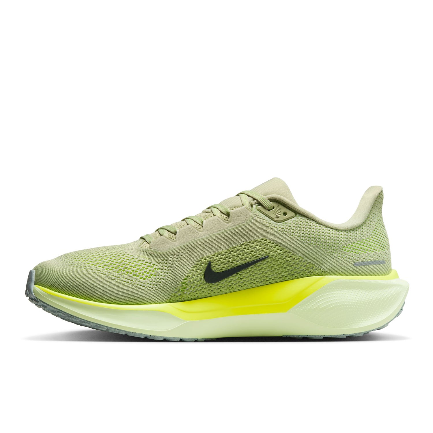 Pegasus 41