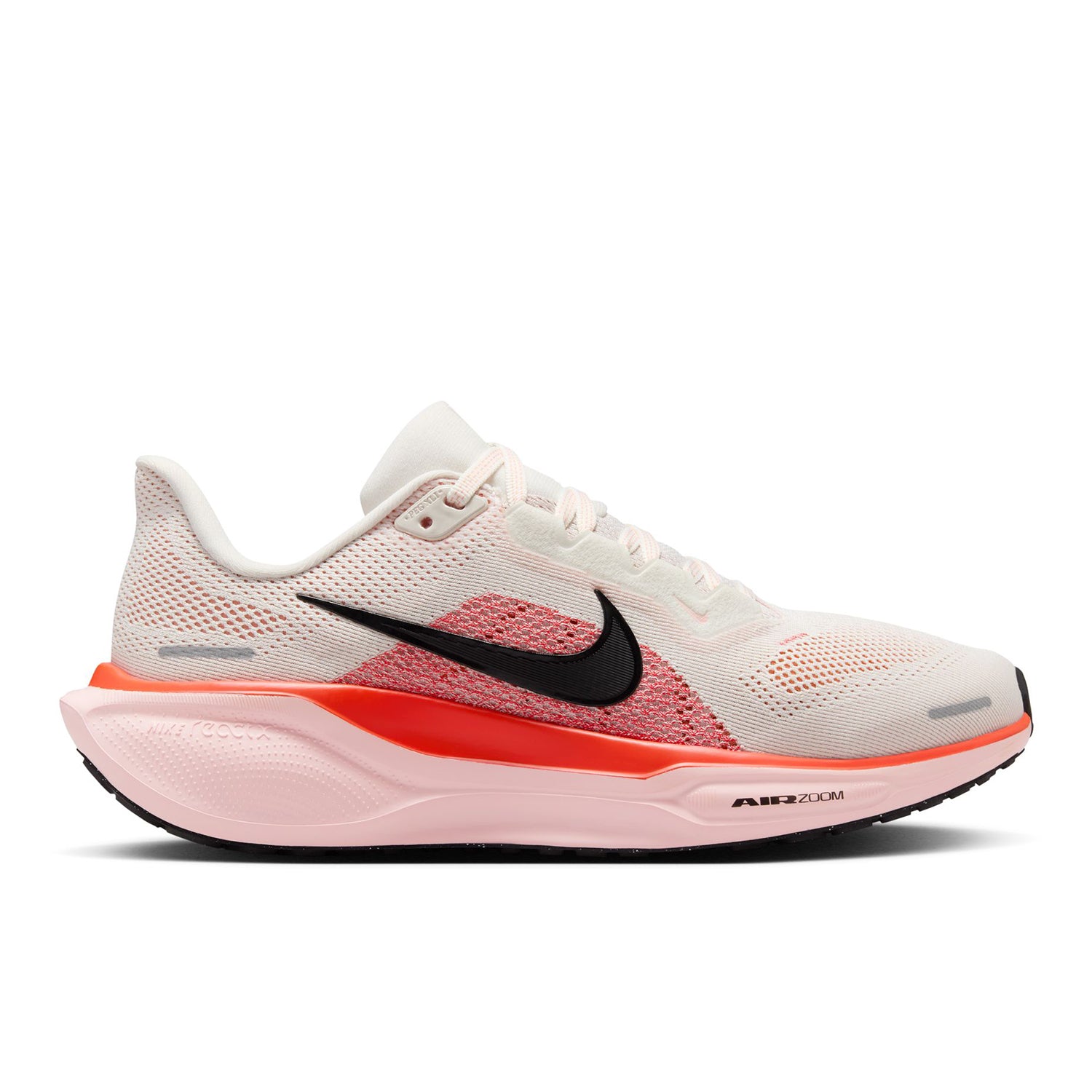 Pegasus 41