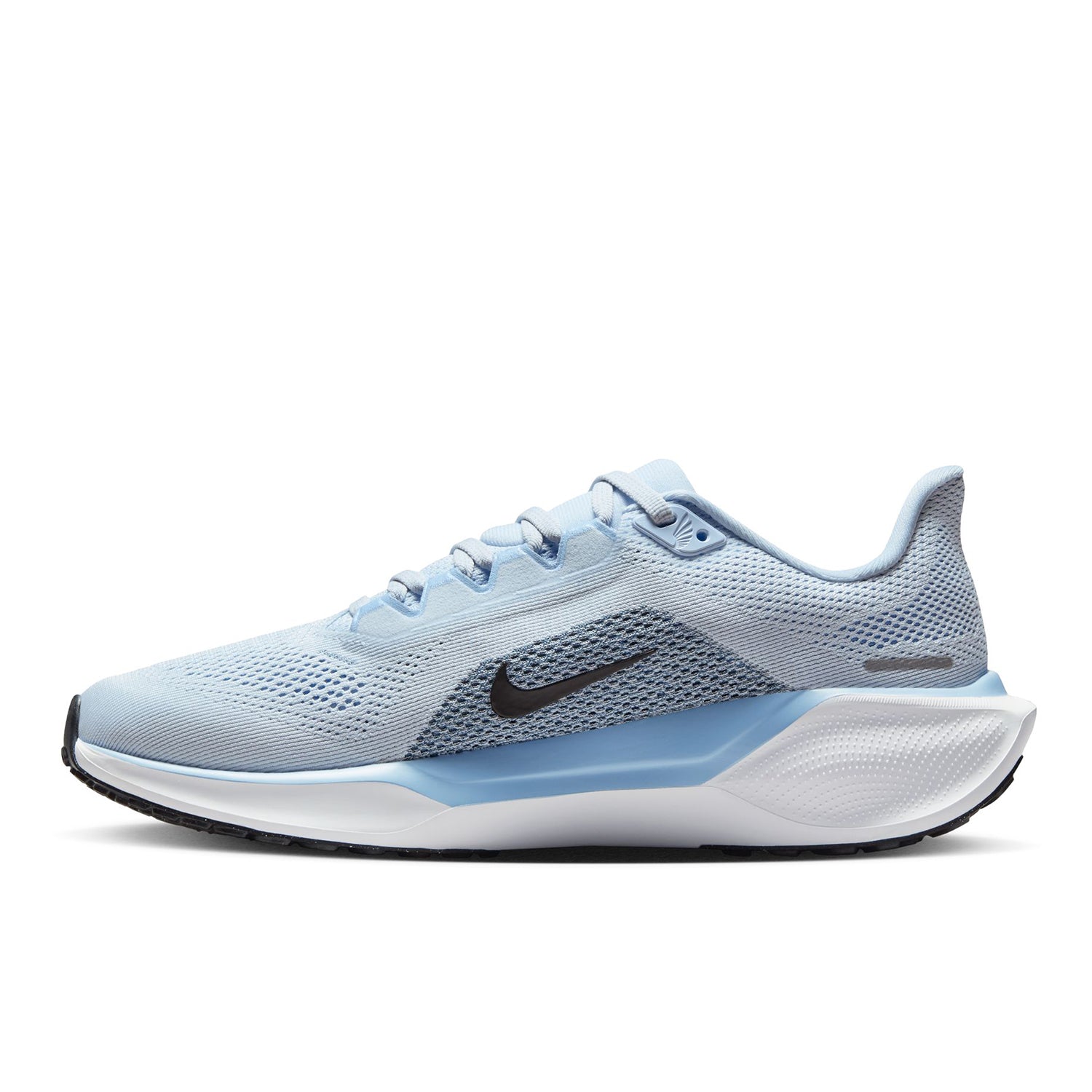 Pegasus 41