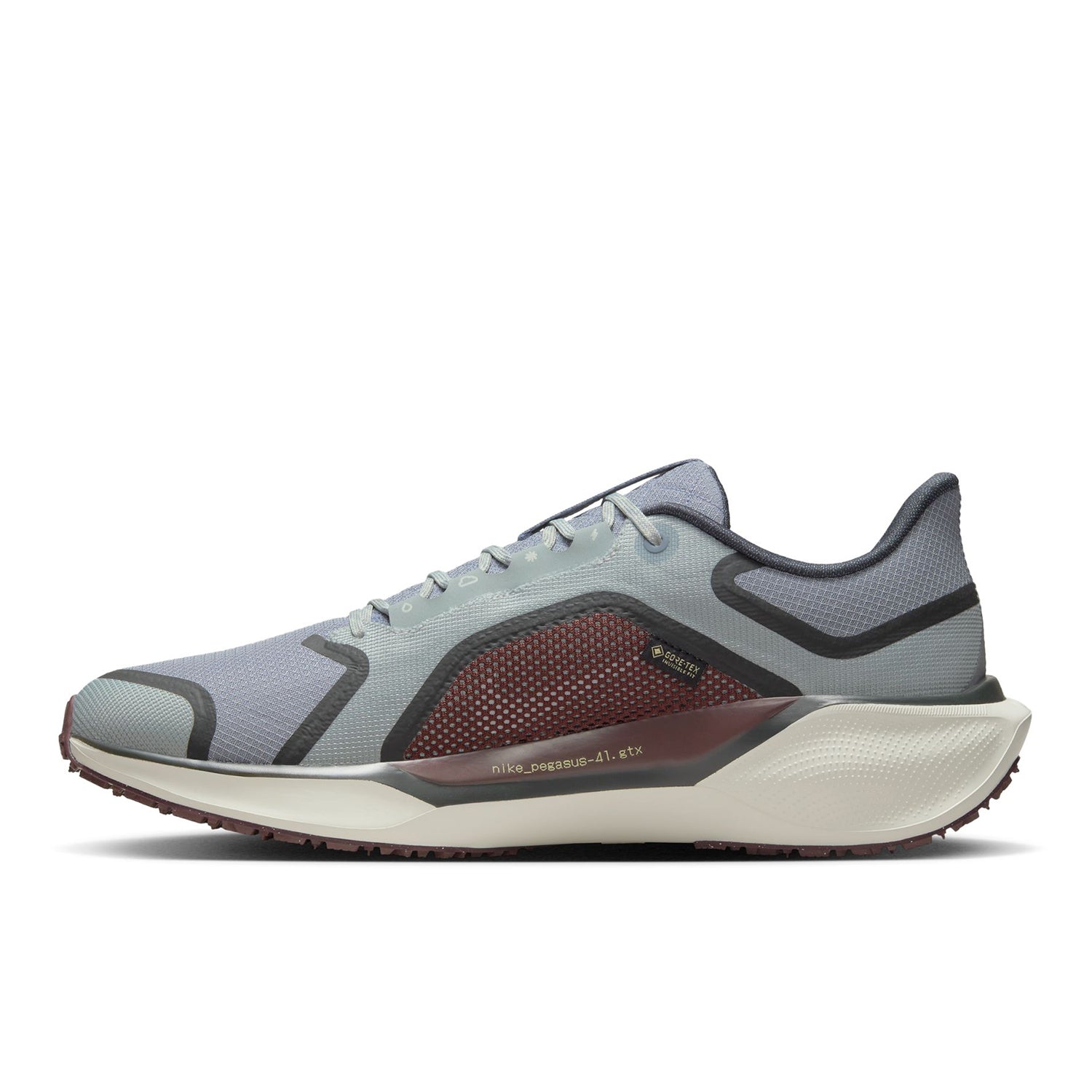 Pegasus 41 GORE-TEX