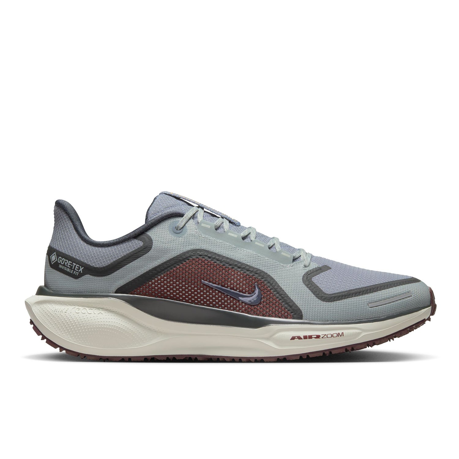 Pegasus 41 GORE-TEX