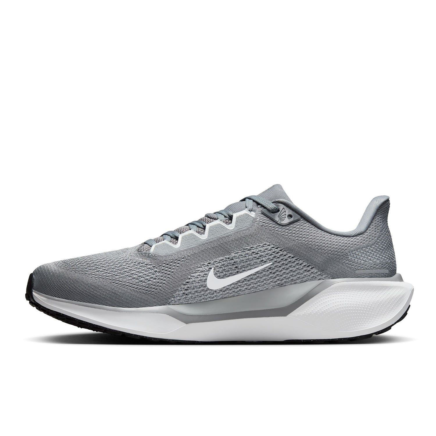 Pegasus 41