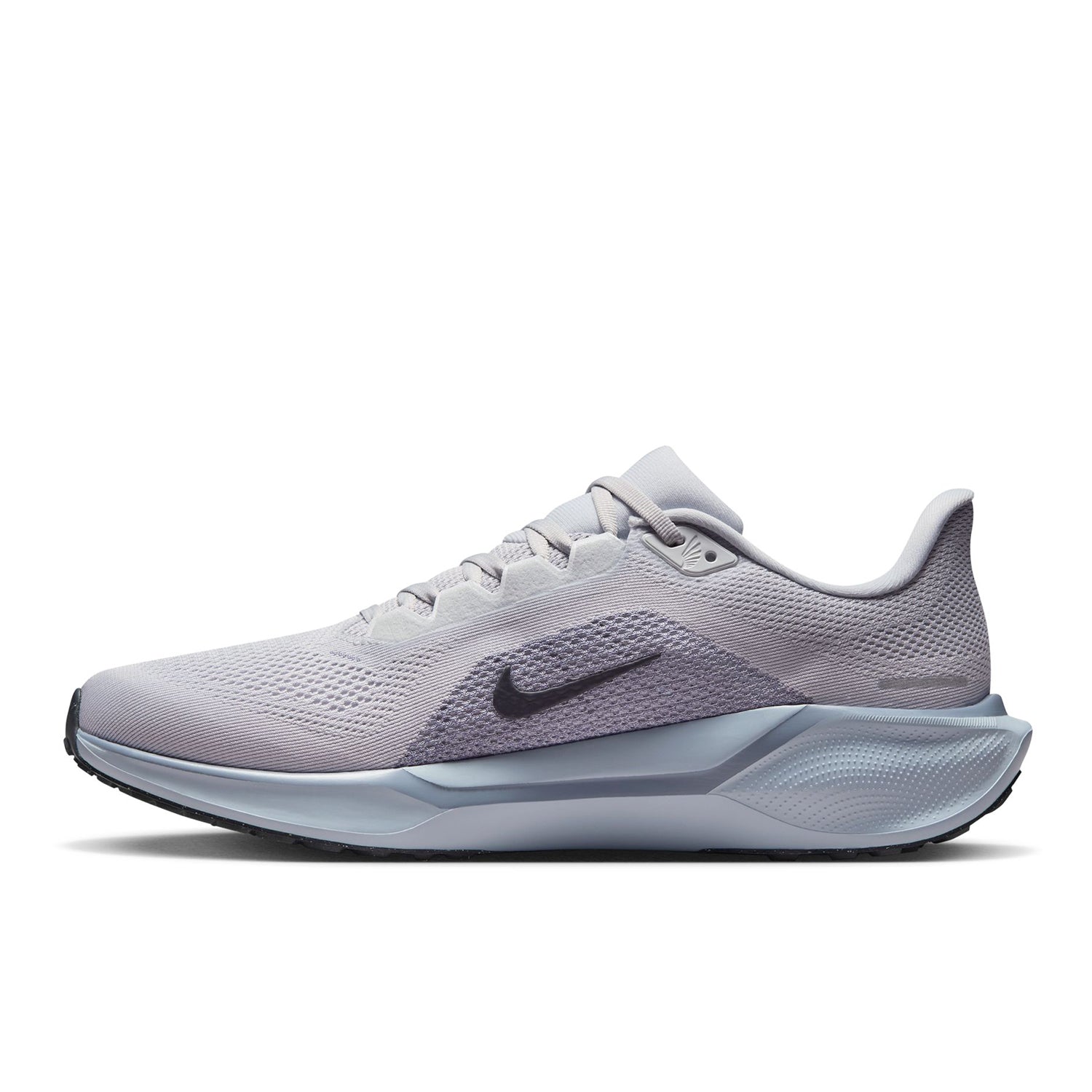 Pegasus 41