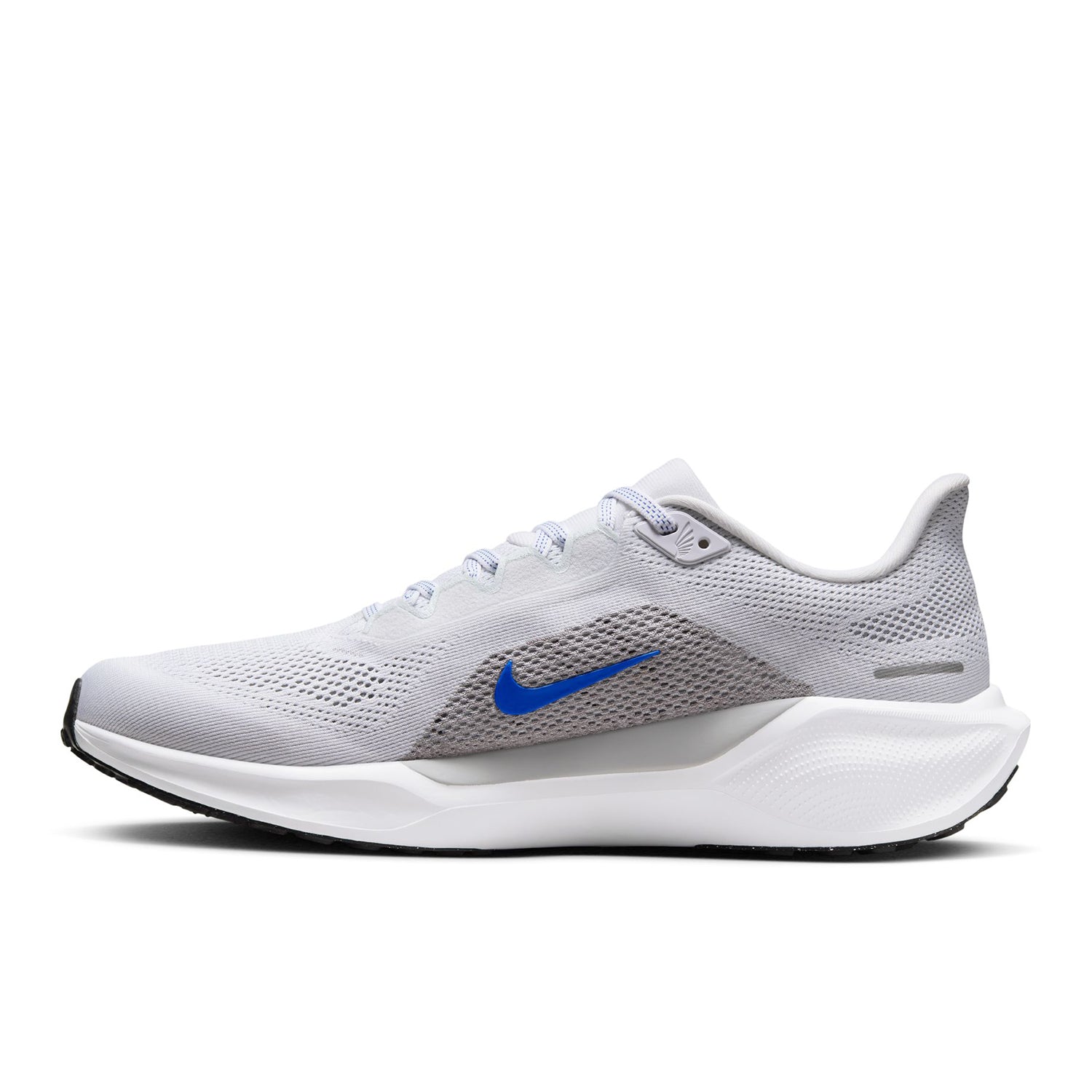 Pegasus 41