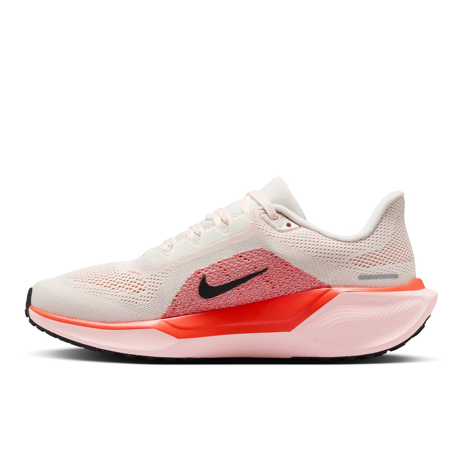 Pegasus 41